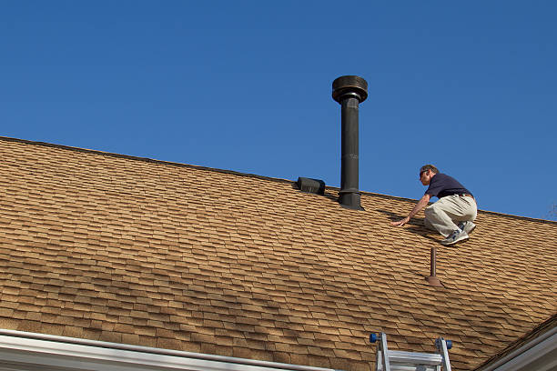 Best Roof Coating and Sealing  in Dasher, GA